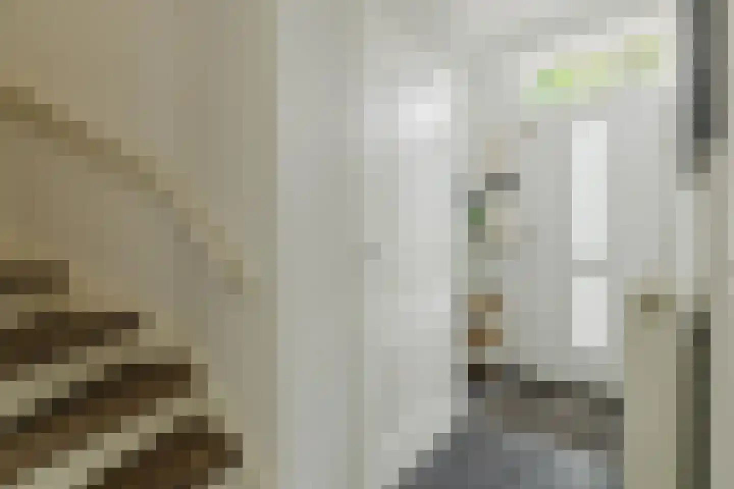 Generaal Foulkesstraat 4 Ossendrecht thumbnail 7