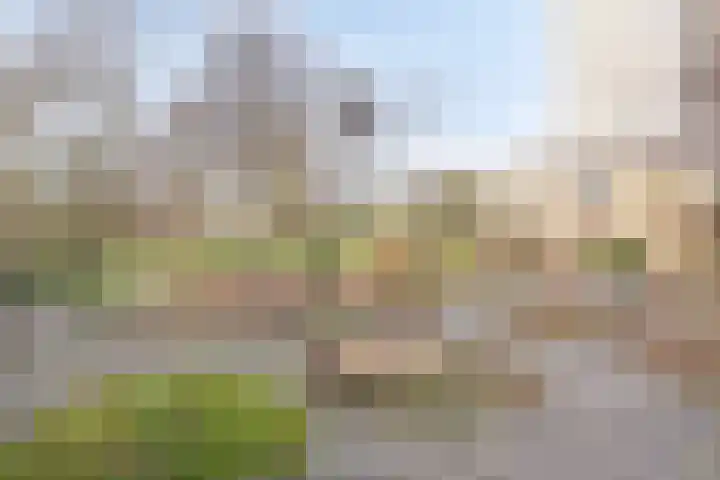 Generaal Foulkesweg 133 Wageningen thumbnail 21