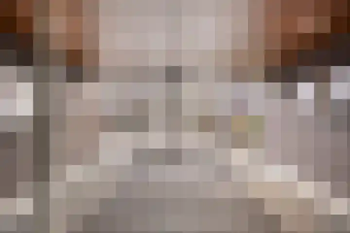 Generaal Foulkesweg 133 Wageningen thumbnail 7