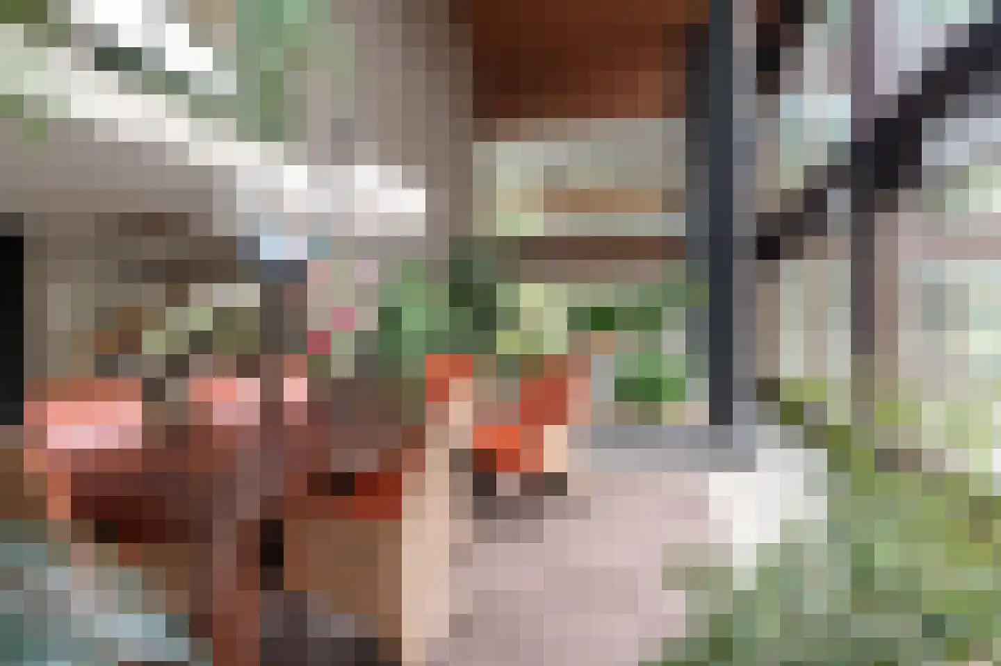 Generaal Foulkesweg 187 Wageningen thumbnail 29