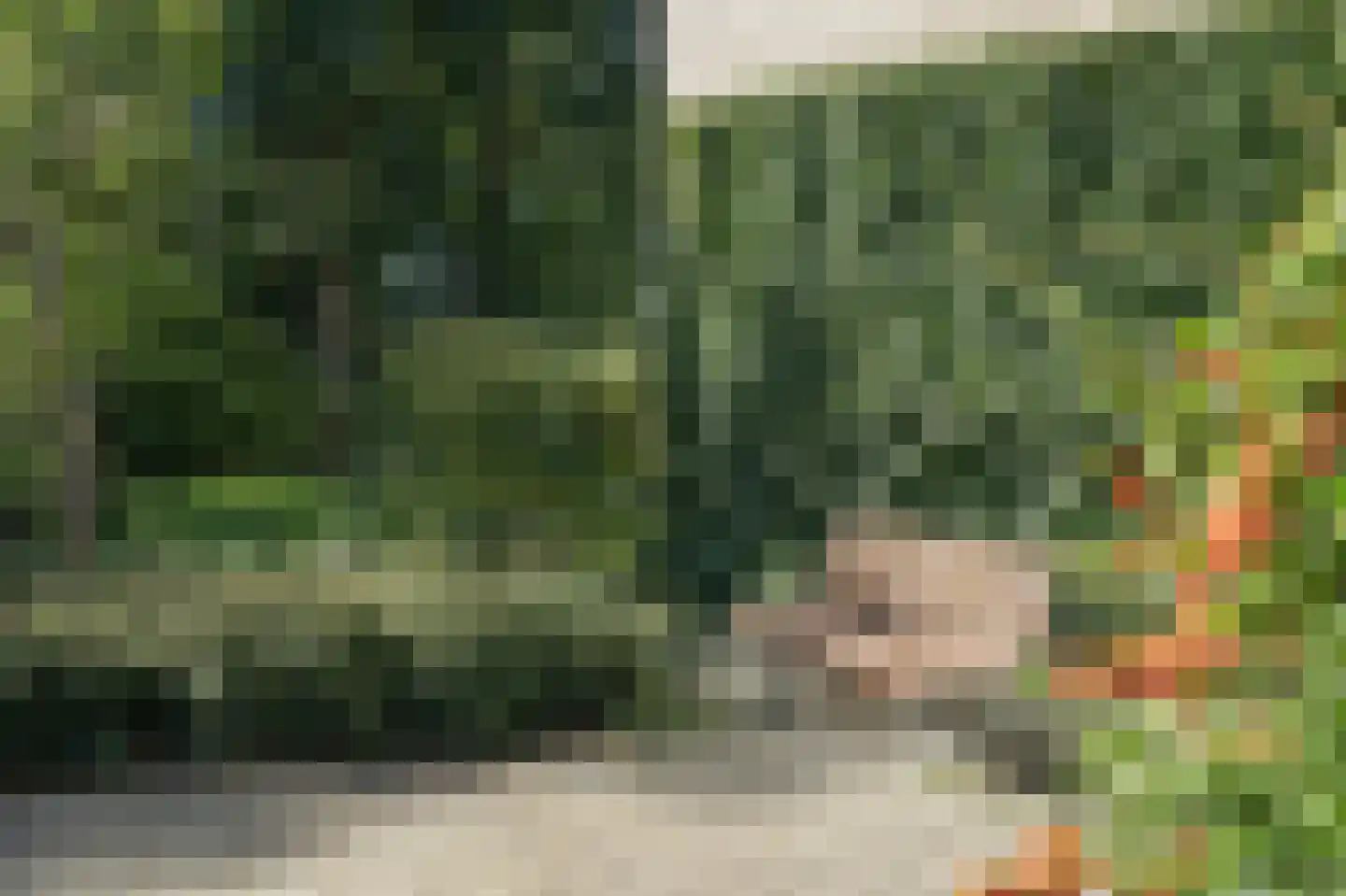 Generaal Foulkesweg 187 Wageningen thumbnail 31