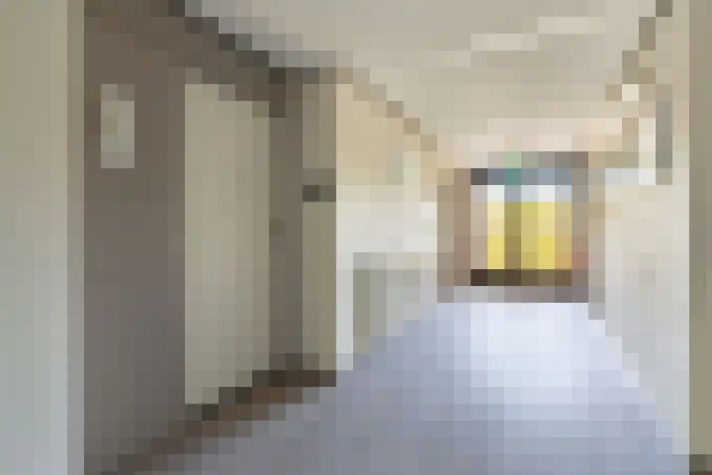 Generaal Foulkesweg 187 Wageningen thumbnail 7