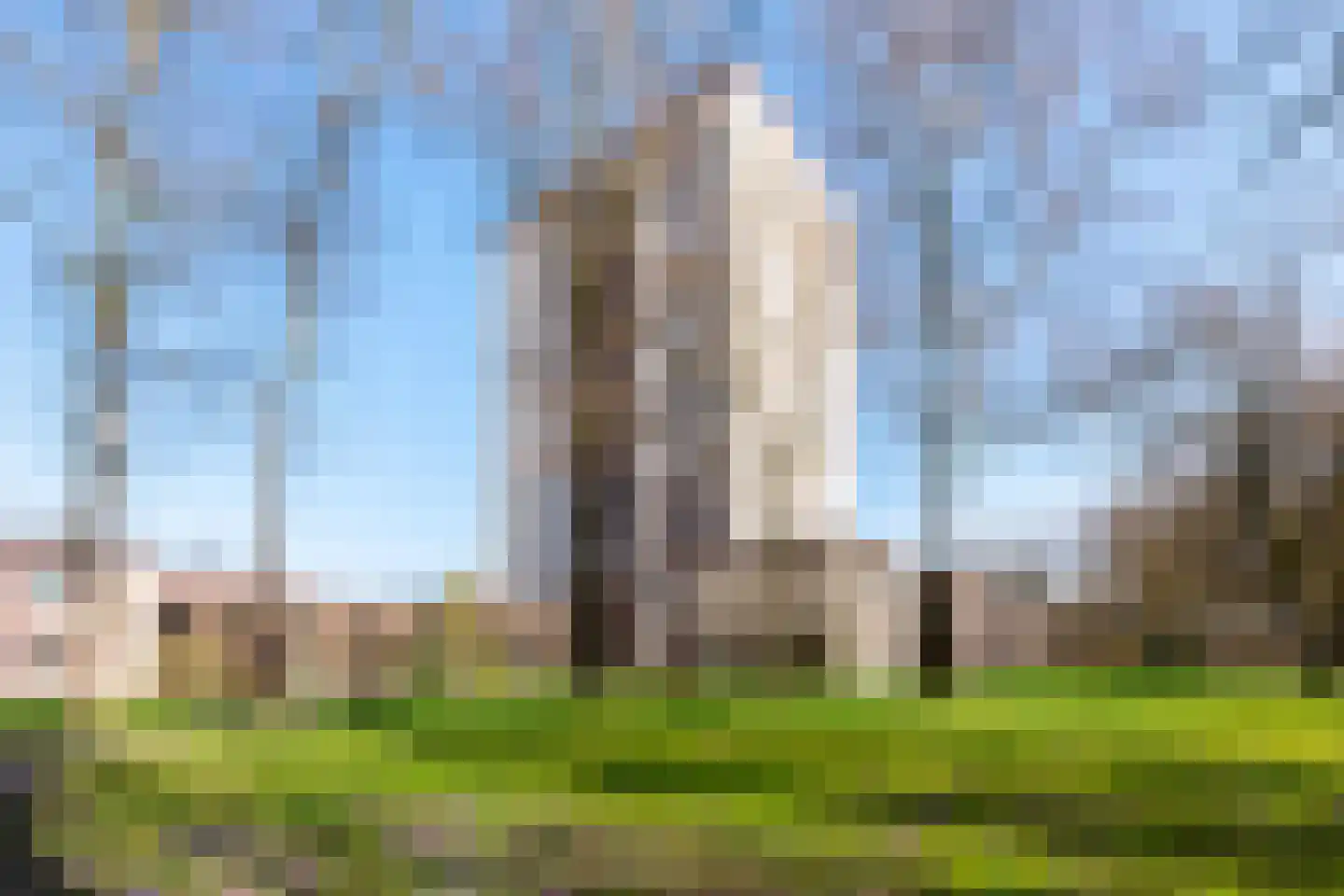Generaal Foulkesweg 223 Wageningen thumbnail 29