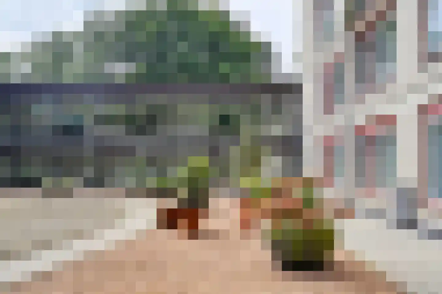 Generaal Foulkesweg 247 Wageningen thumbnail 40