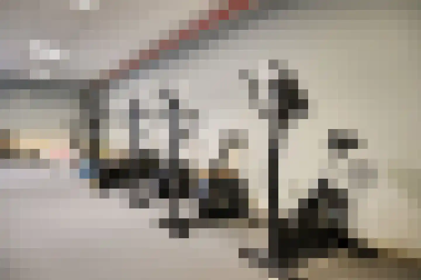 Generaal Foulkesweg 247 Wageningen thumbnail 42