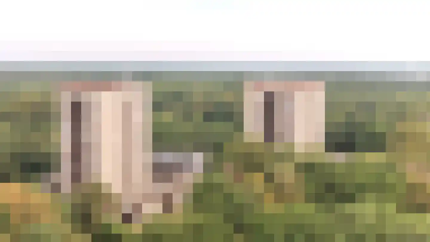 Generaal Foulkesweg 247 Wageningen thumbnail 46