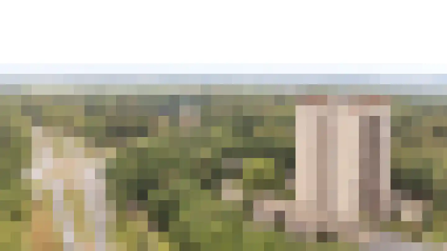 Generaal Foulkesweg 247 Wageningen thumbnail 47