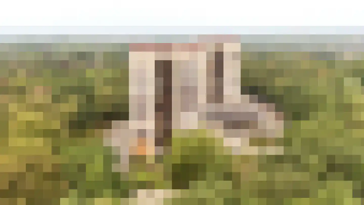 Generaal Foulkesweg 247 Wageningen thumbnail 48