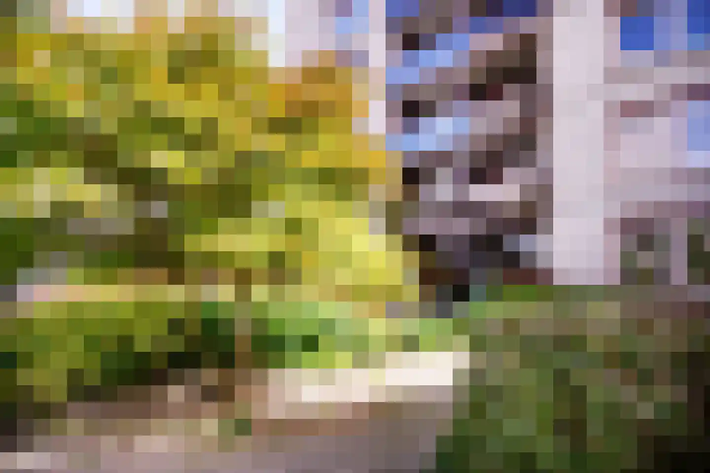Generaal Foulkesweg 247 Wageningen thumbnail 5