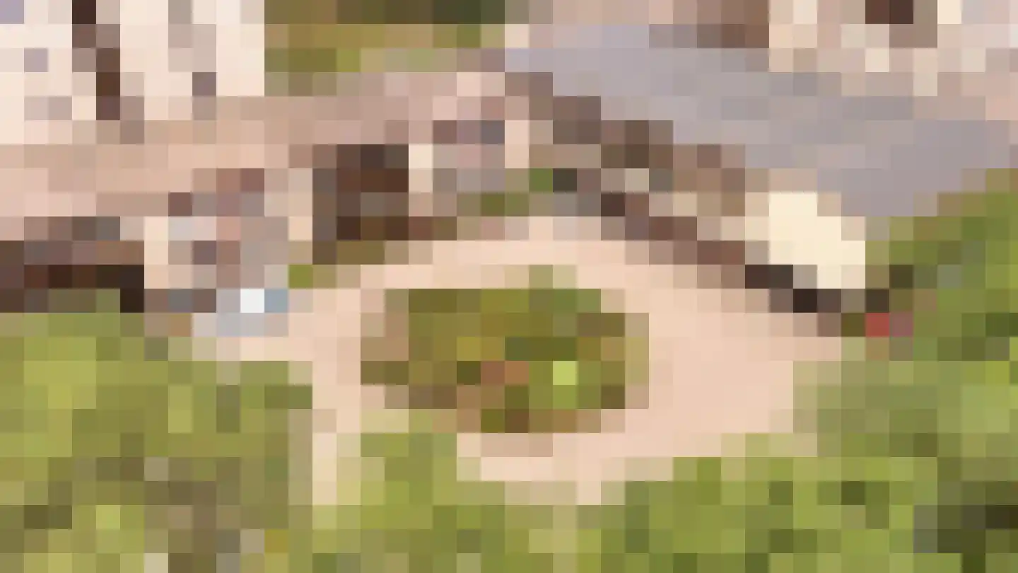 Generaal Foulkesweg 247 Wageningen thumbnail 50
