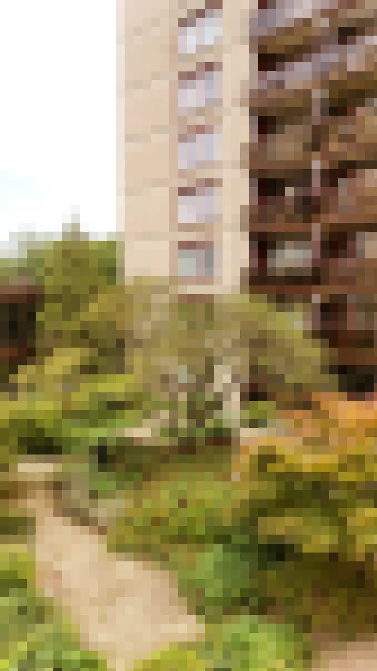 Generaal Foulkesweg 247 Wageningen thumbnail 53