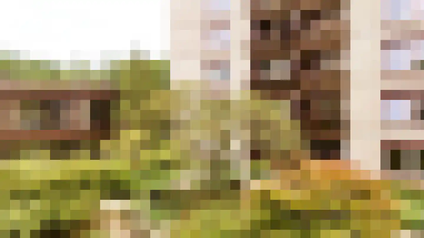 Generaal Foulkesweg 247 Wageningen thumbnail 54