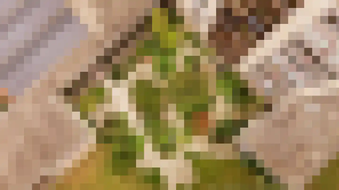 Generaal Foulkesweg 247 Wageningen thumbnail 55