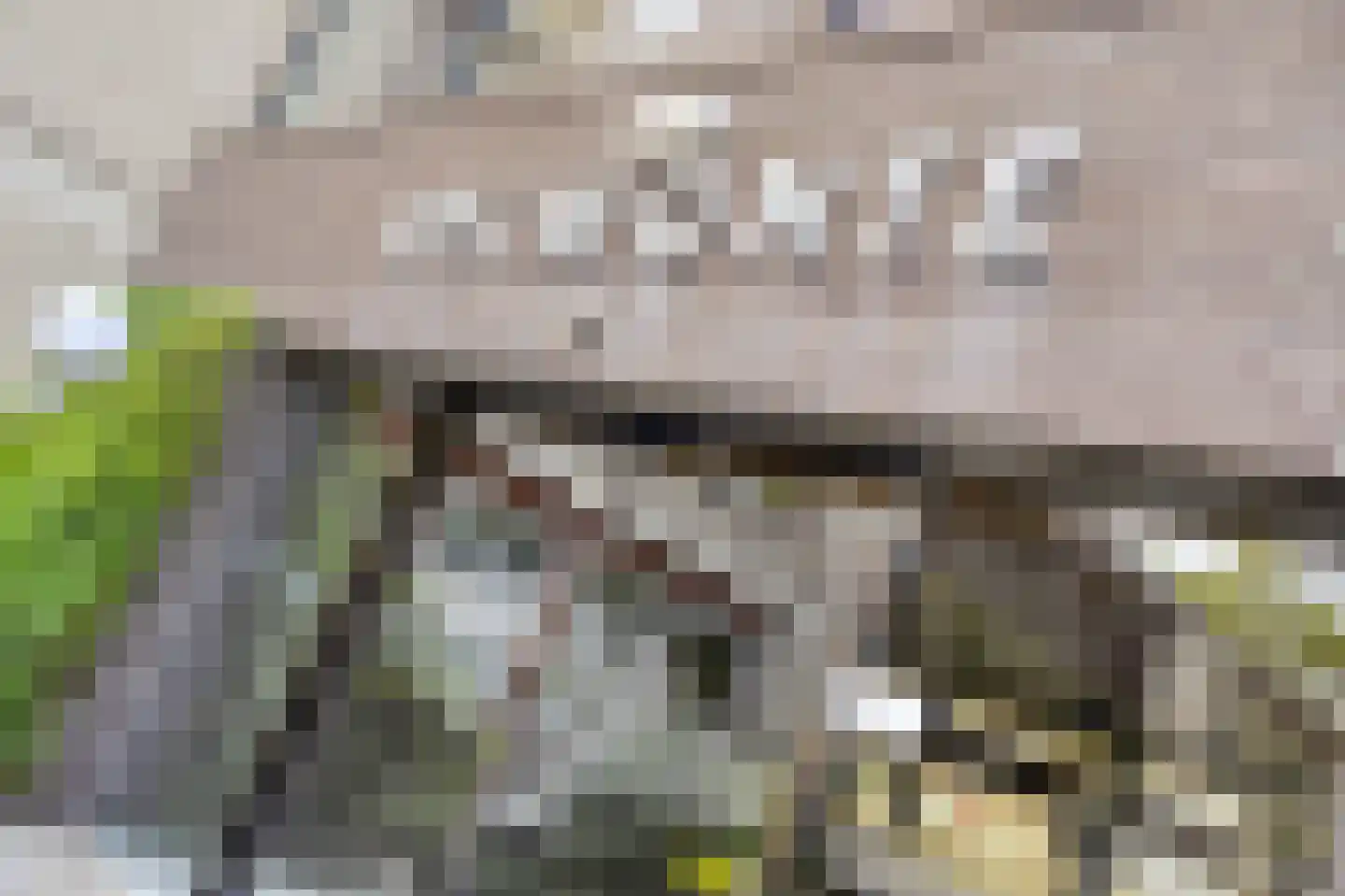 Generaal Foulkesweg 247 Wageningen thumbnail 8
