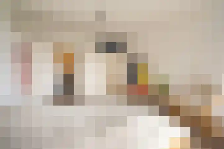 Generaal Foulkesweg 329 Wageningen thumbnail 14