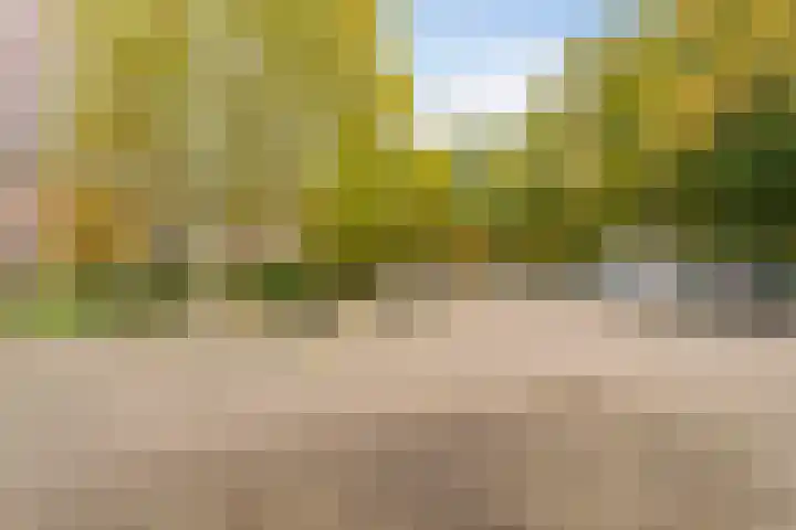 Generaal Foulkesweg 329 Wageningen thumbnail 24