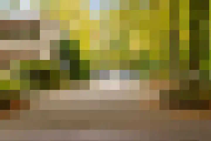 Generaal Foulkesweg 329 Wageningen thumbnail 25
