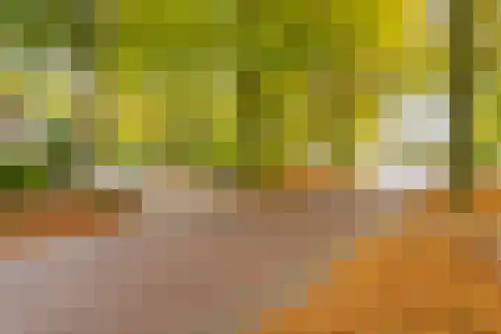 Generaal Foulkesweg 329 Wageningen thumbnail 26