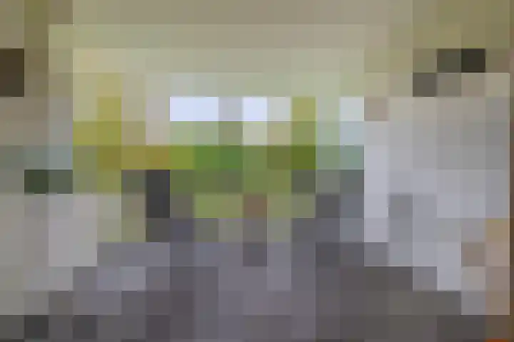 Generaal Foulkesweg 34 B Wageningen thumbnail 26