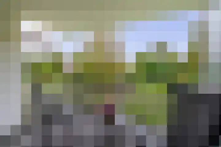 Generaal Foulkesweg 34 B Wageningen thumbnail 27