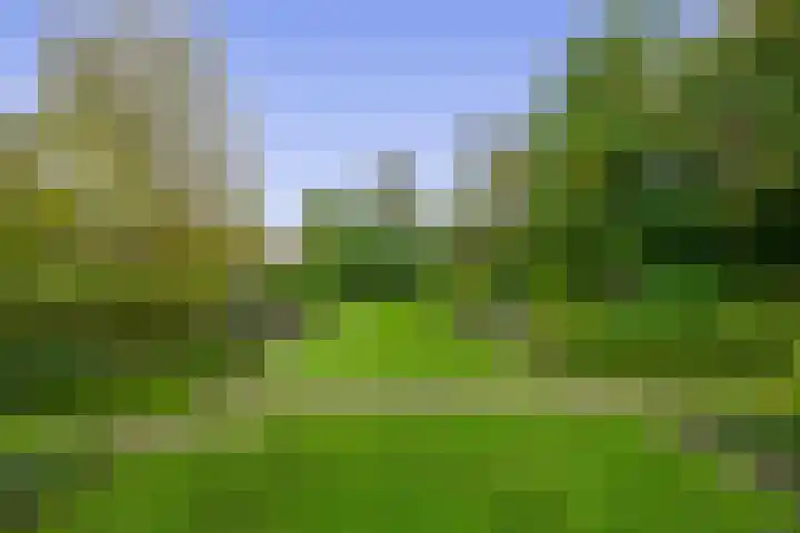 Generaal Foulkesweg 34 B Wageningen thumbnail 30