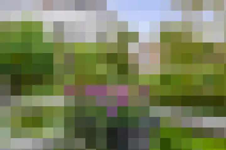 Generaal Foulkesweg 34 B Wageningen thumbnail 31