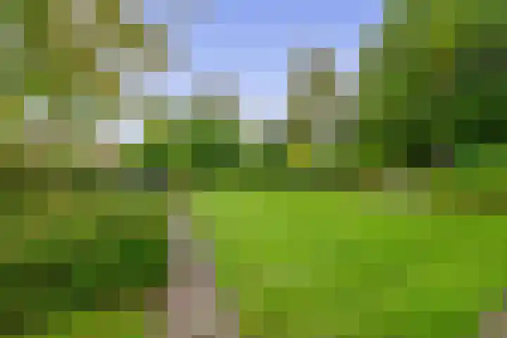 Generaal Foulkesweg 34 B Wageningen thumbnail 32