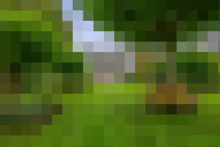Generaal Foulkesweg 34 B Wageningen thumbnail 35