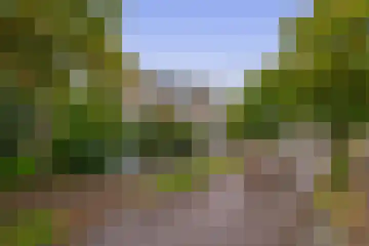 Generaal Foulkesweg 34 B Wageningen thumbnail 4