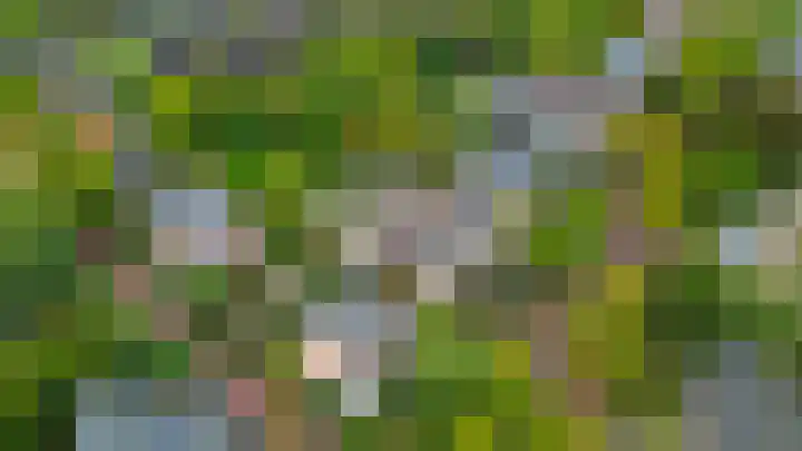 Generaal Foulkesweg 34 B Wageningen thumbnail 43