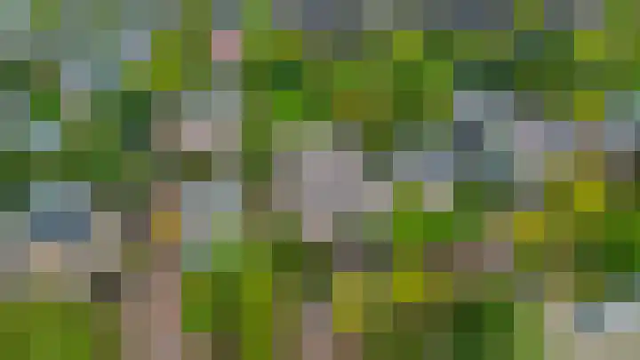 Generaal Foulkesweg 34 B Wageningen thumbnail 44