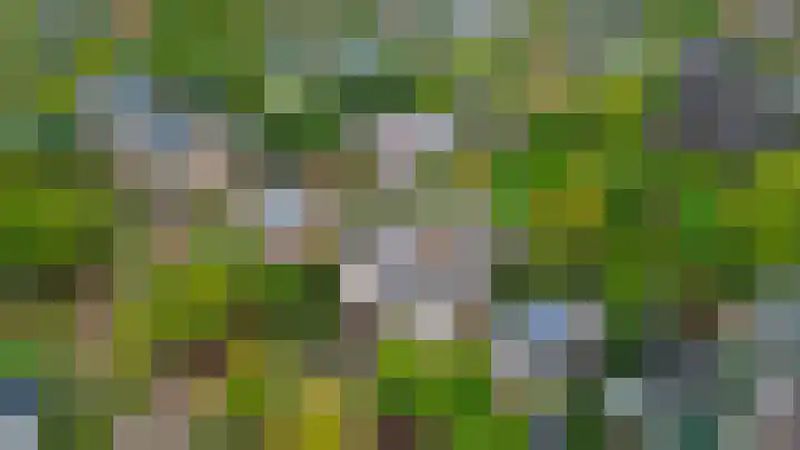 Generaal Foulkesweg 34 B Wageningen thumbnail 45