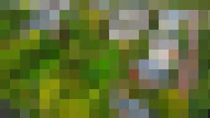 Generaal Foulkesweg 34 B Wageningen thumbnail 46