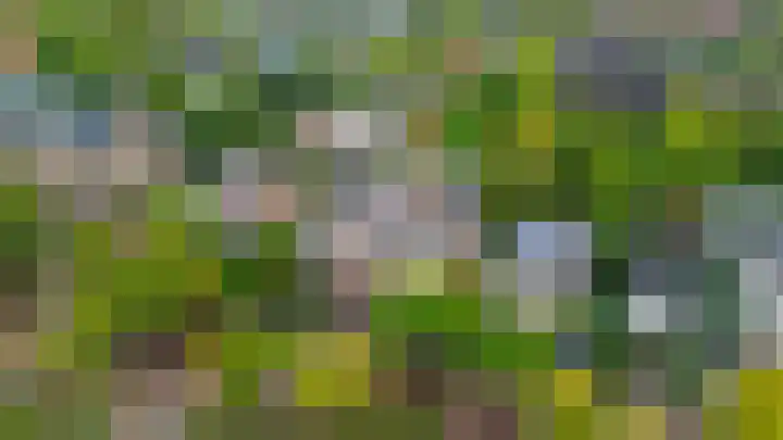 Generaal Foulkesweg 34 B Wageningen thumbnail 47
