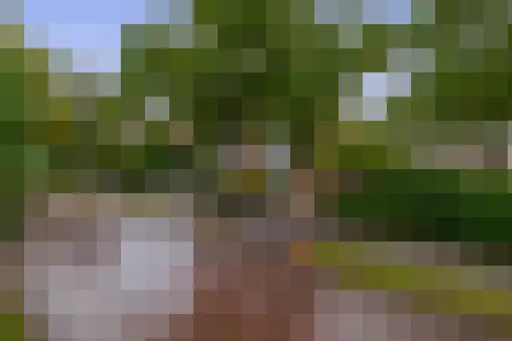 Generaal Foulkesweg 34 B Wageningen thumbnail 5