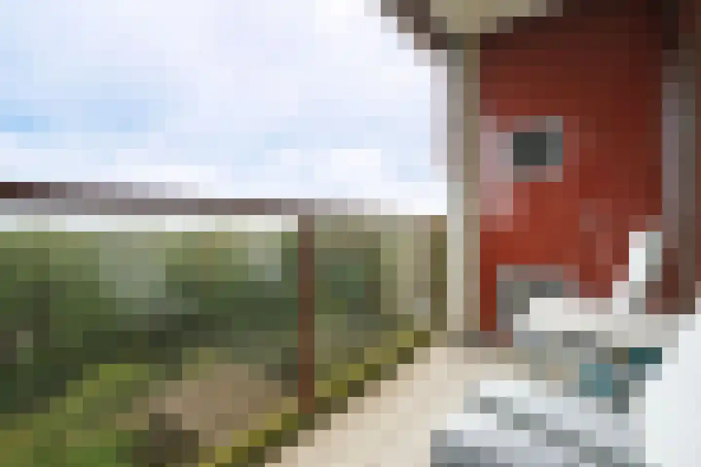 Generaal Foulkesweg 345 Wageningen thumbnail 19
