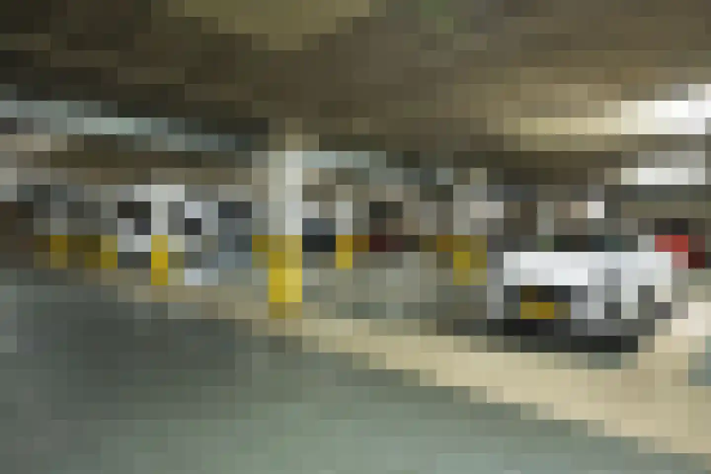 Generaal Foulkesweg 345 Wageningen thumbnail 21