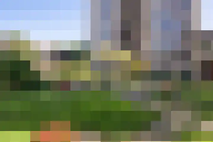 Generaal Foulkesweg 367 Wageningen thumbnail 26