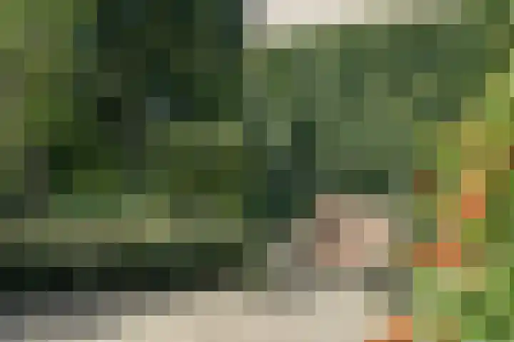 Generaal Foulkesweg 367 Wageningen thumbnail 33