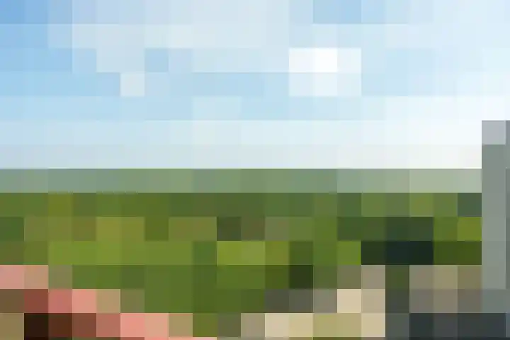 Generaal Foulkesweg 379 Wageningen thumbnail 25