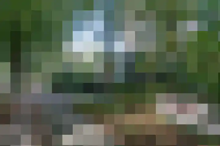 Generaal Foulkesweg 379 Wageningen thumbnail 26
