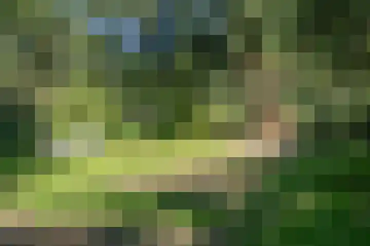 Generaal Foulkesweg 379 Wageningen thumbnail 32
