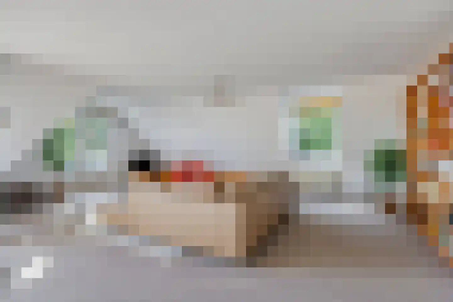 Generaal Foulkesweg 38 A Wageningen thumbnail 10
