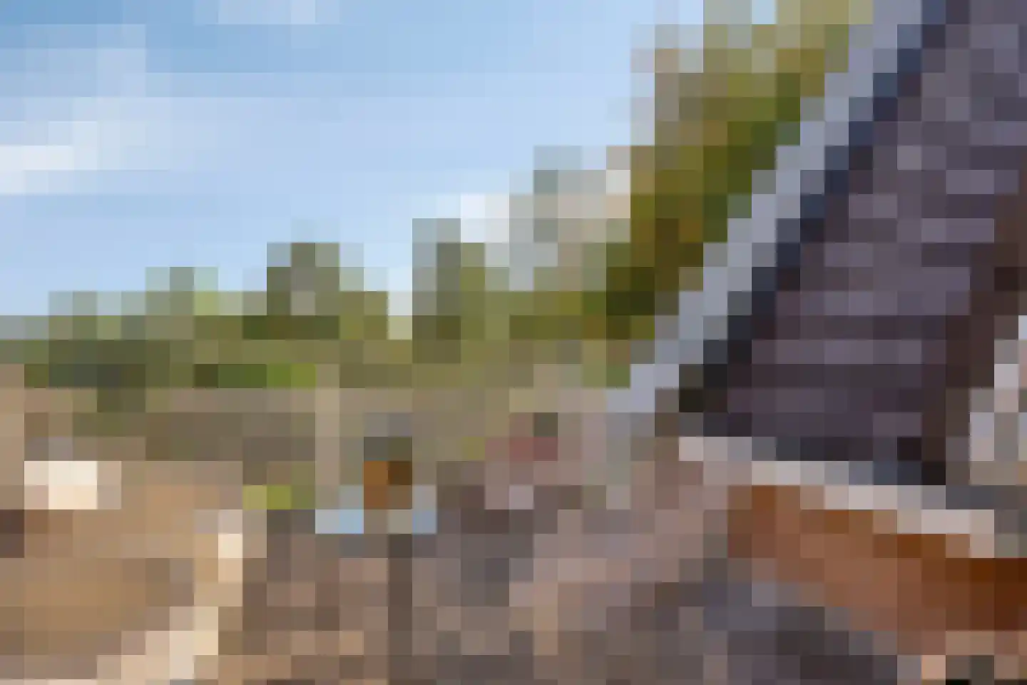 Generaal Foulkesweg 38 A Wageningen thumbnail 14