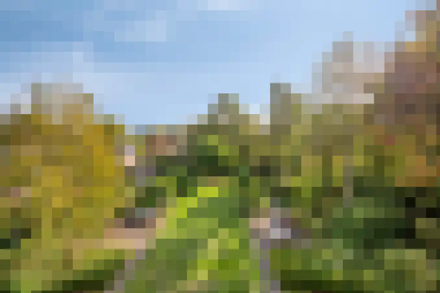 Generaal Foulkesweg 38 A Wageningen thumbnail 16