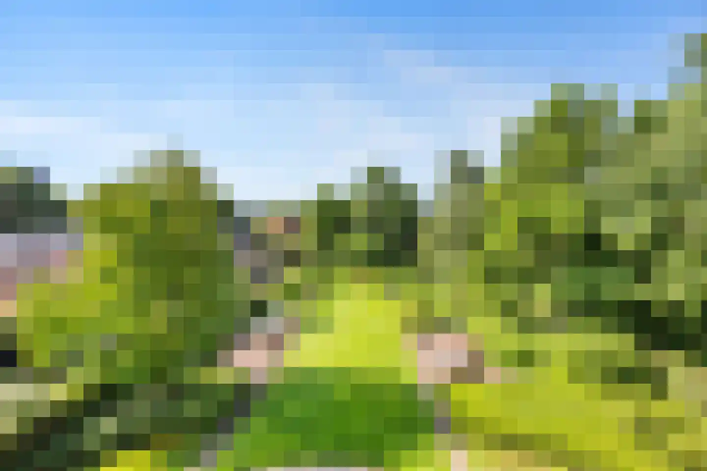 Generaal Foulkesweg 38 A Wageningen thumbnail 17