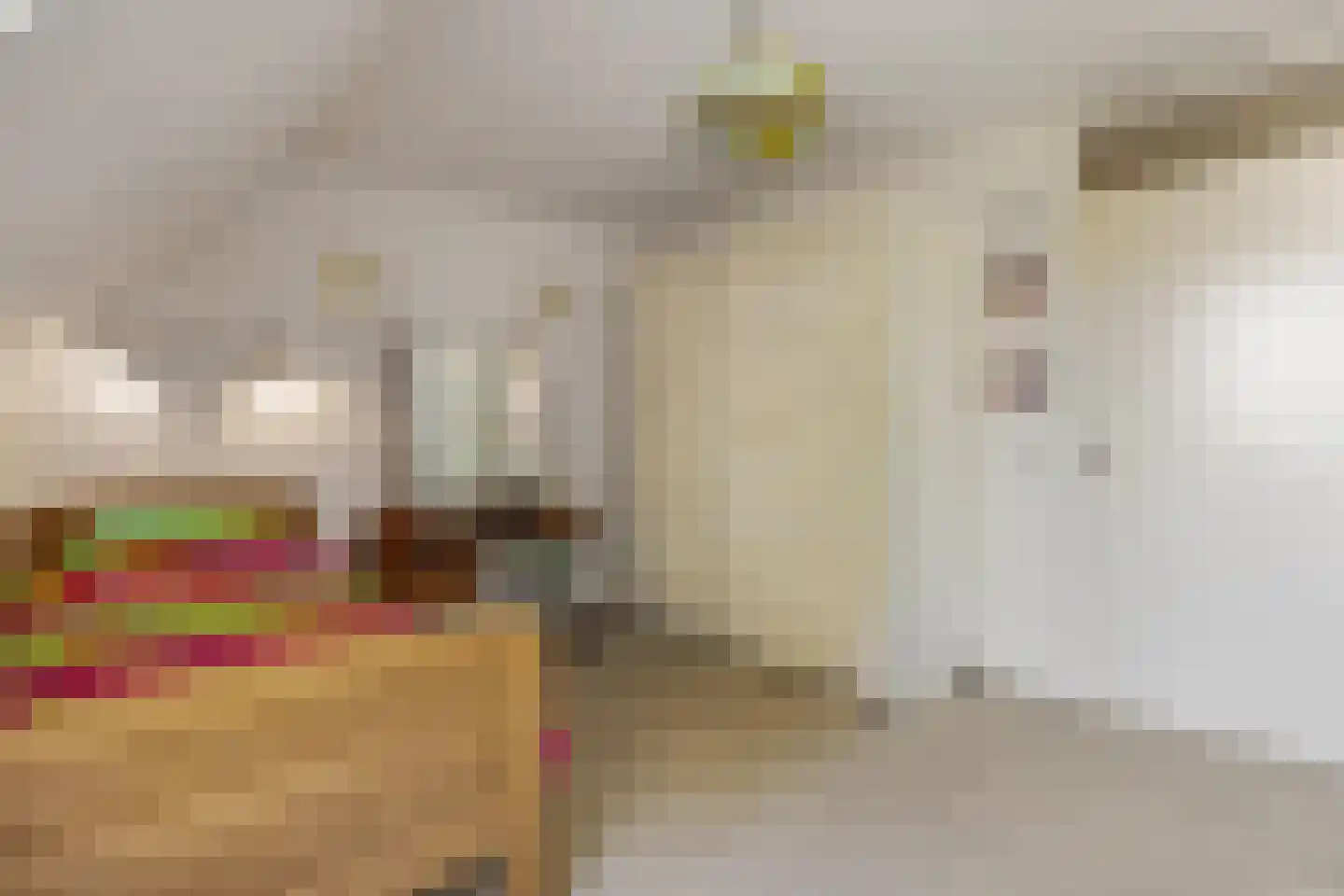 Generaal Foulkesweg 38 A Wageningen thumbnail 19