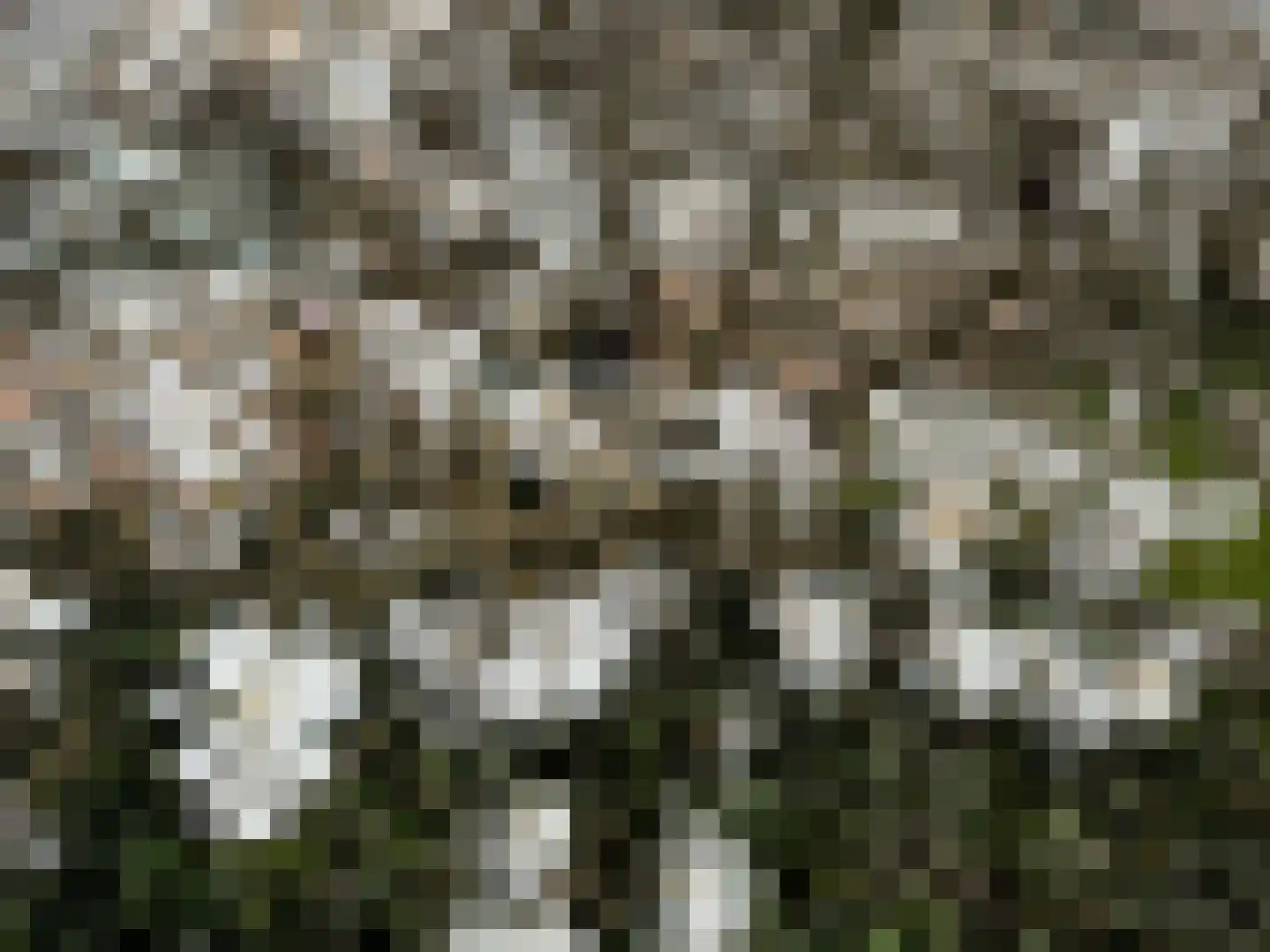 Generaal Foulkesweg 38 A Wageningen thumbnail 25