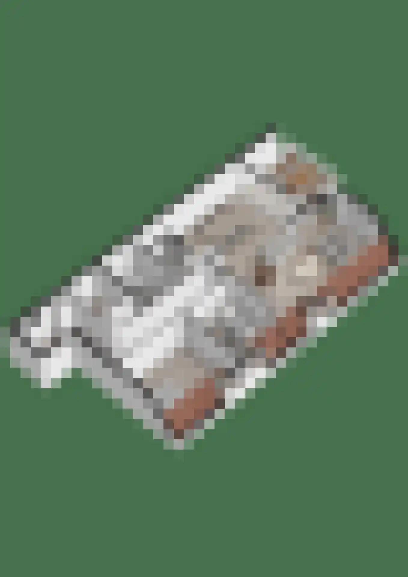 Generaal Foulkesweg 38 A Wageningen thumbnail 33