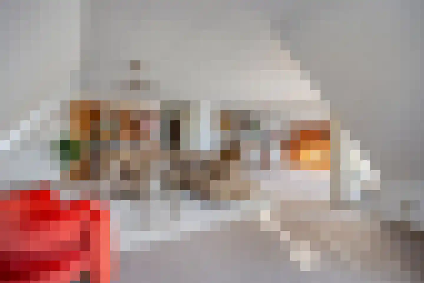 Generaal Foulkesweg 38 A Wageningen thumbnail 8